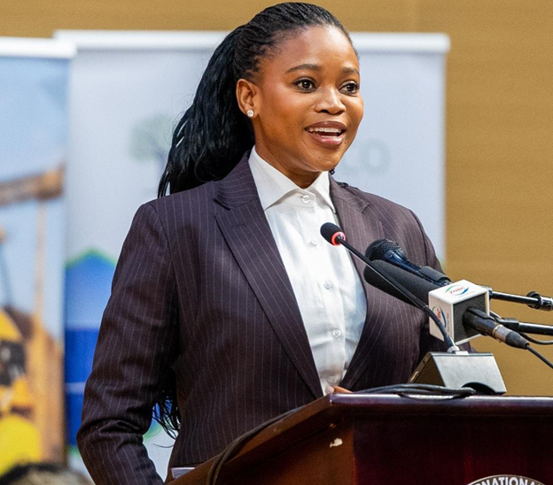 Botswana and Zambia Finally Break the Rusted Padlock as Cross Border Current Flows